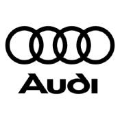 audi dalys